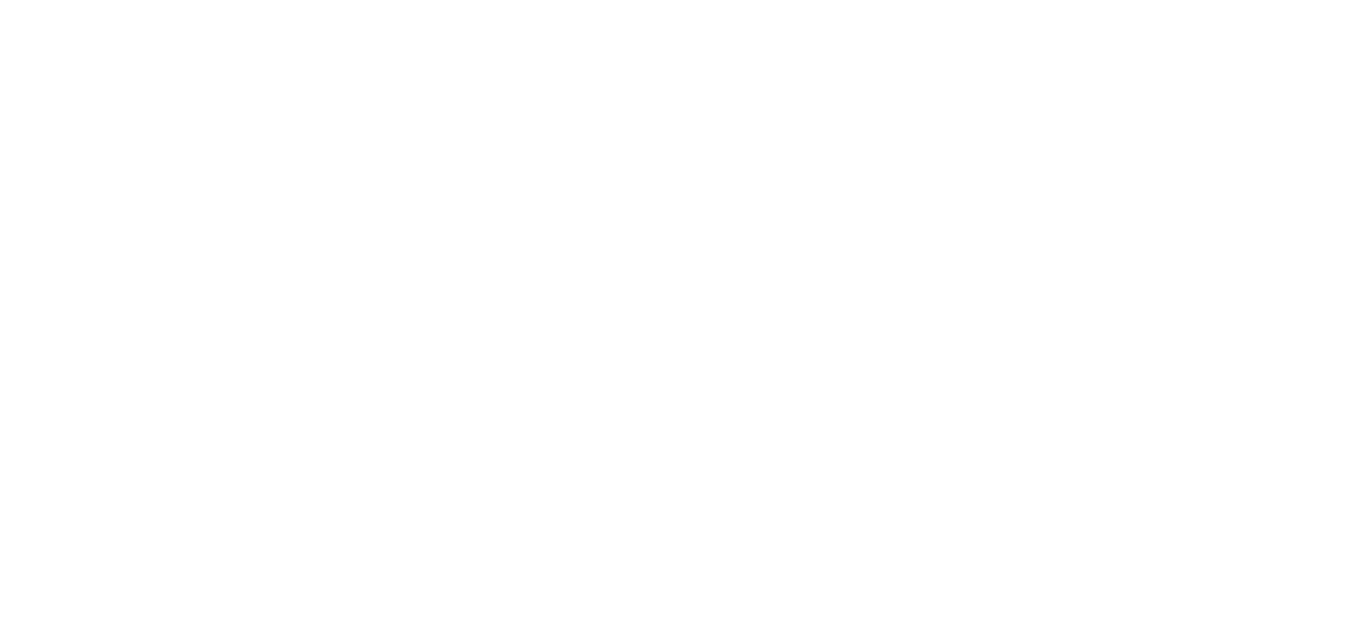 PARTNER Il Clan de CEO Bianco copia