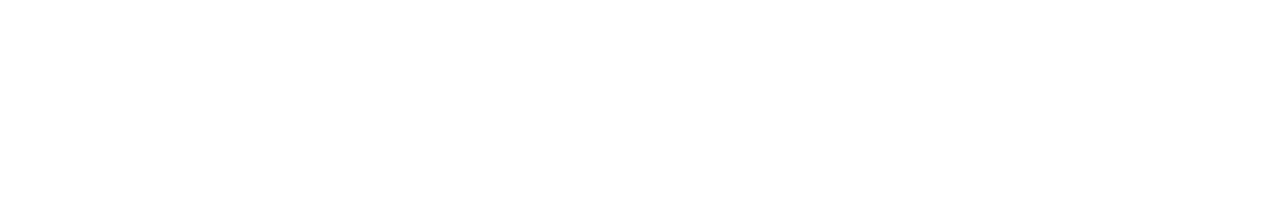 logo hi founers